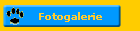 Fotogalerie