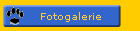Fotogalerie